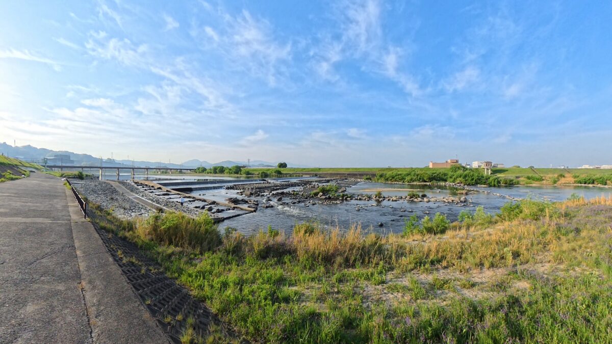 朝日を浴びる河原(X5 8Kにて撮影)