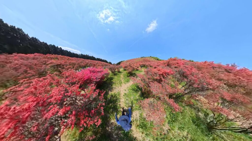 葛城山 つつじ園（Insta360 X5にて撮影）