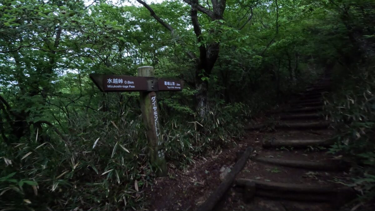 GoPro13 樹林帯の風景1