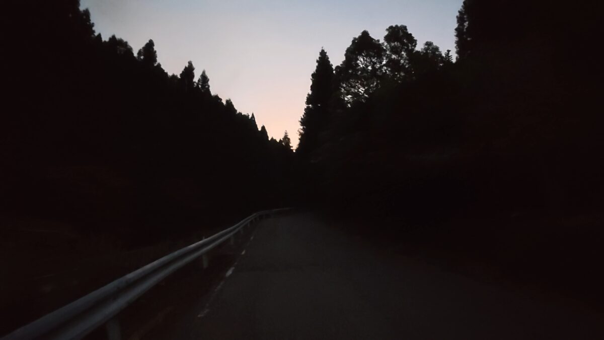 夜明け前の樹林帯を歩く(DJI Osmo Nano SuperNightモードにて撮影)