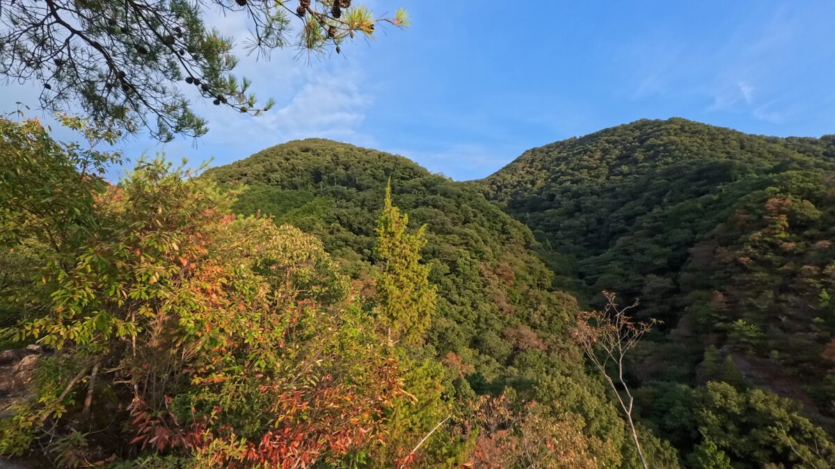 山の景色と紅葉（Insta360 GO Ultra 4KHDRのスナップ写真）