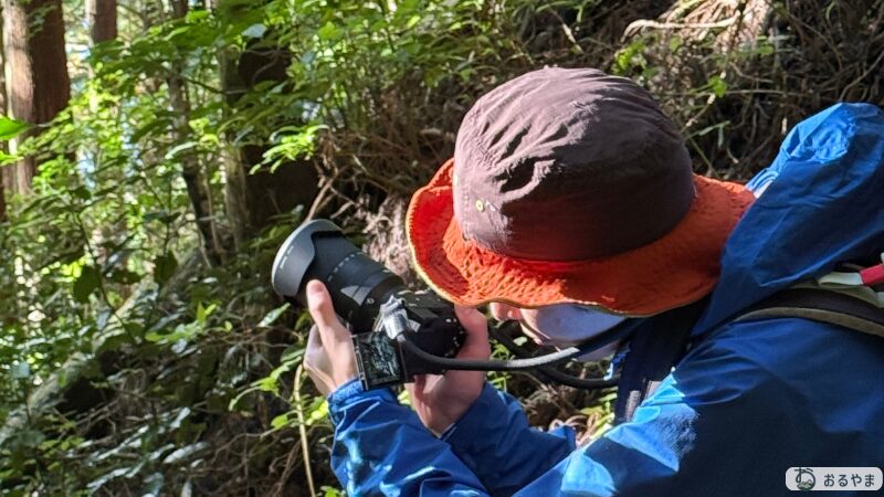 SONY α7C IIの撮影の様子の画像