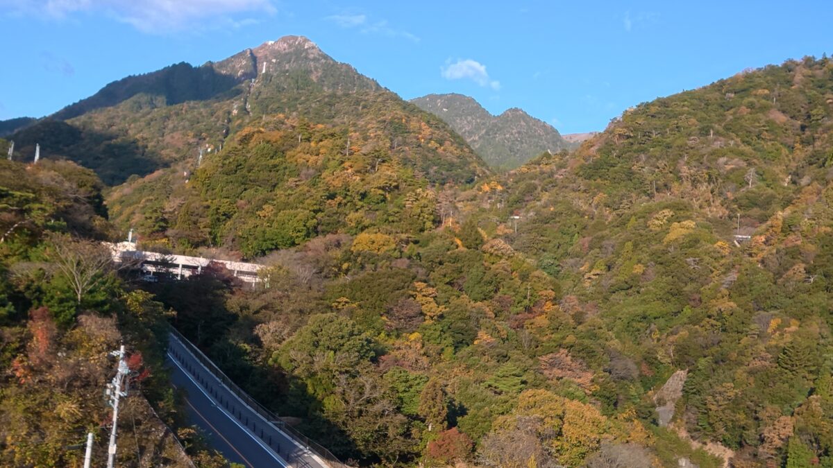 紅葉の山の景色_ロスレス2倍ズームにて撮影（DJI Osmo Action 6）