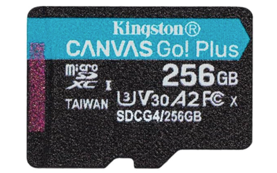 Kingston CANVAS GO! Plus 256GBの商品画像