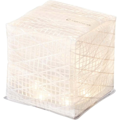 キャリー・ザ・サン