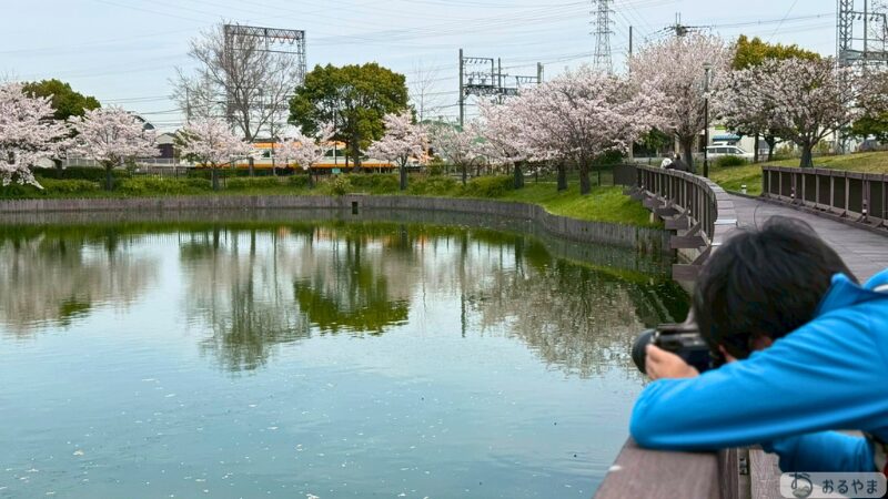 広角レンズで余計なものが写り込んだ構図の例