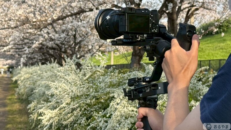 DJI RS 5 で桜並木を撮影中の手元アップ