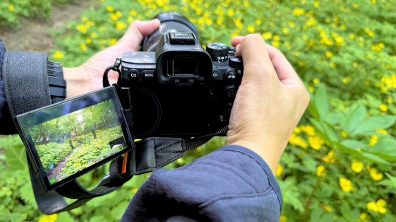 SONY α7 V × FE16-25mmで撮影している様子