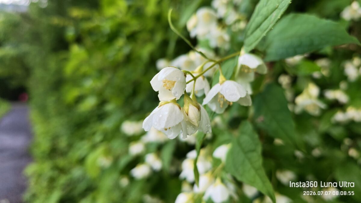 Luna Ultraで撮影した蝶ヶ岳・梓川の3倍ズーム映像