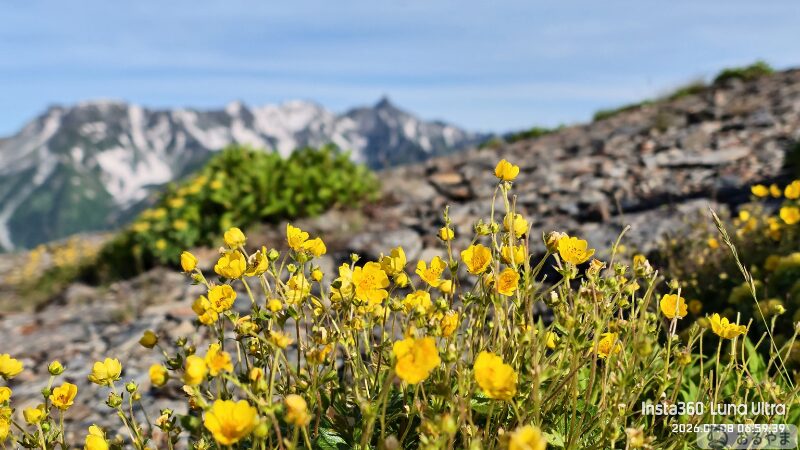 Luna Ultraの6倍ズームで撮影した高山植物と槍ヶ岳