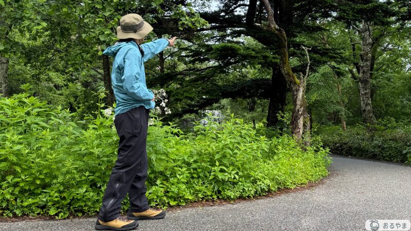 カリマーWTX LT rain pants(ブラック)の着用シーン