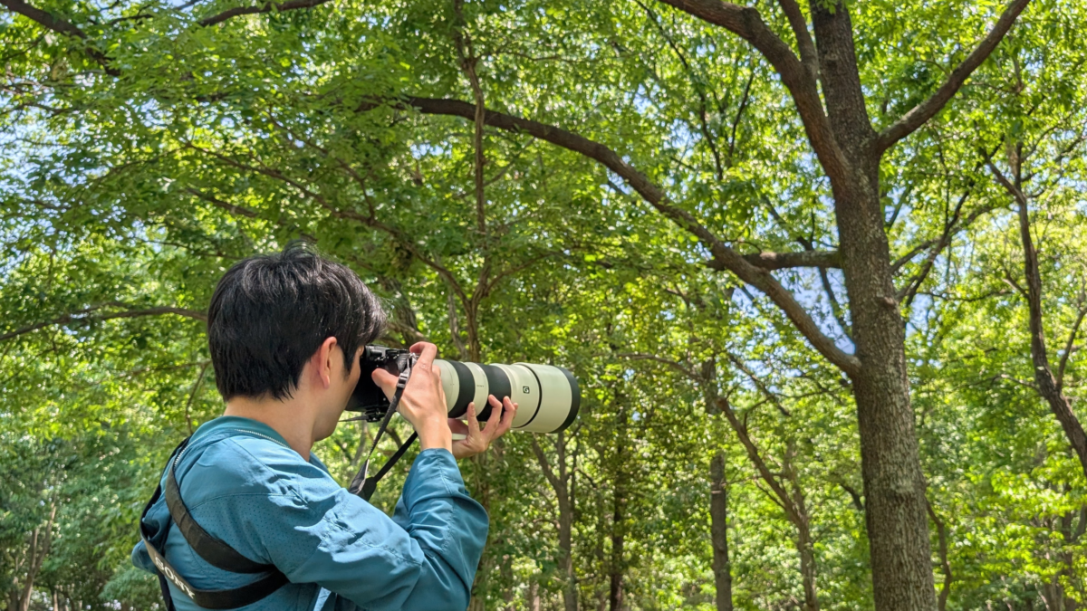 森の中でSONYの望遠レンズを構えるカメラマン