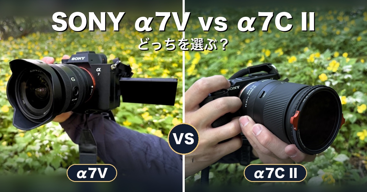 SONY α7Vとα7C IIの比較